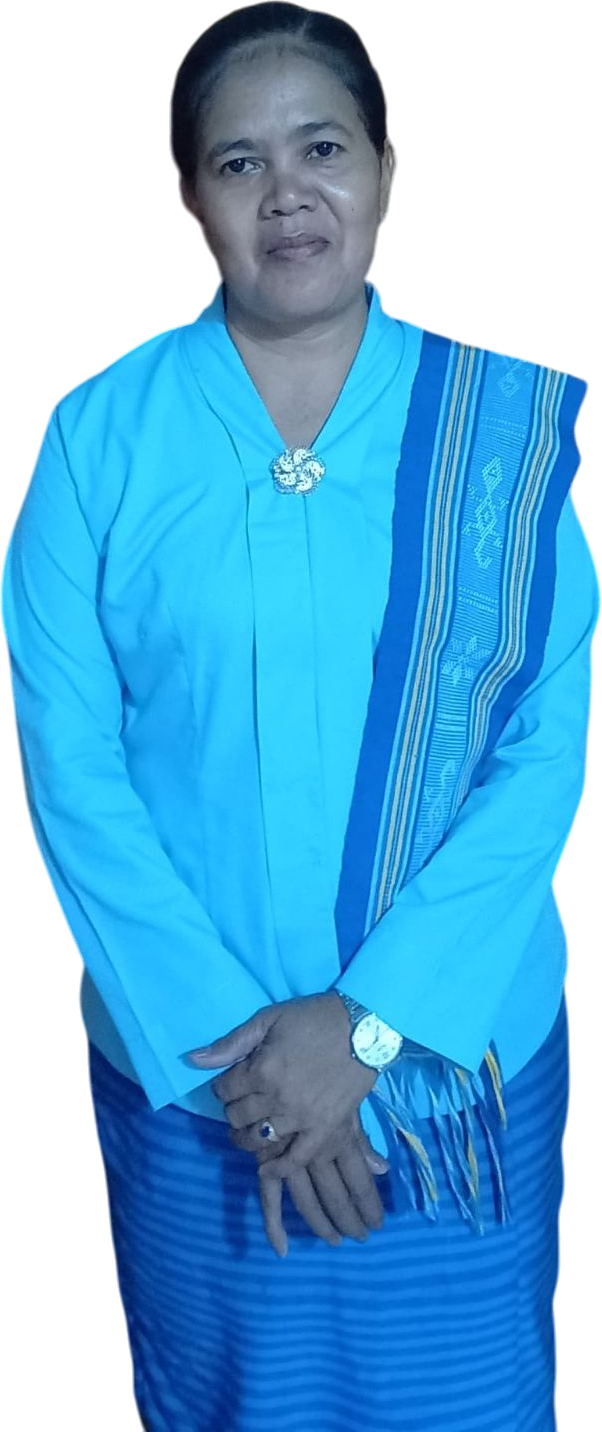 Marciana Lourdes Freitas